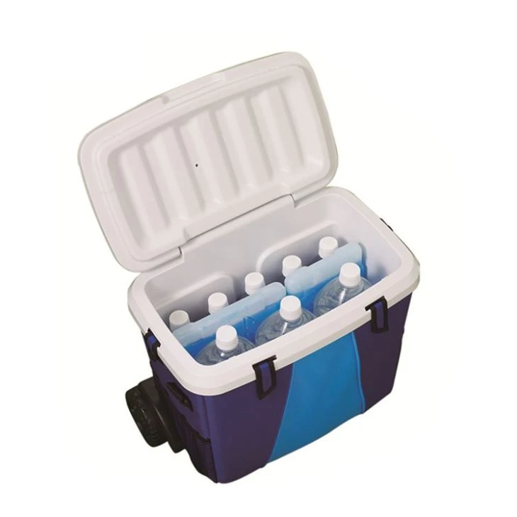 Тролейбус Ice Chest