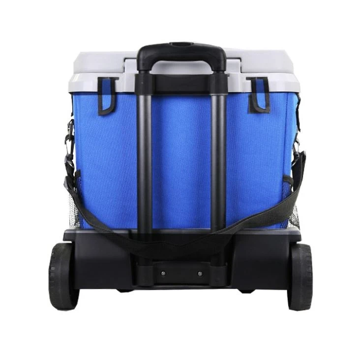 Trolley Ice Chest
